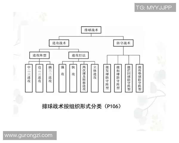 南京排球队在邀请赛中的灵活性展现与战术调整分析 南京排球队在邀请赛中的灵活性展现与战术调整分析